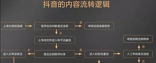 小红书视频播放量是否有收益？