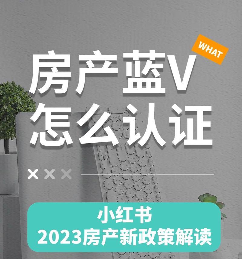 小红书蓝V认证攻略——如何通过主题写一篇文章获得认证（从申请条件到具体操作）