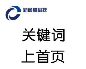 SEO排名优化技巧大全（提高排名效率的实用方法）