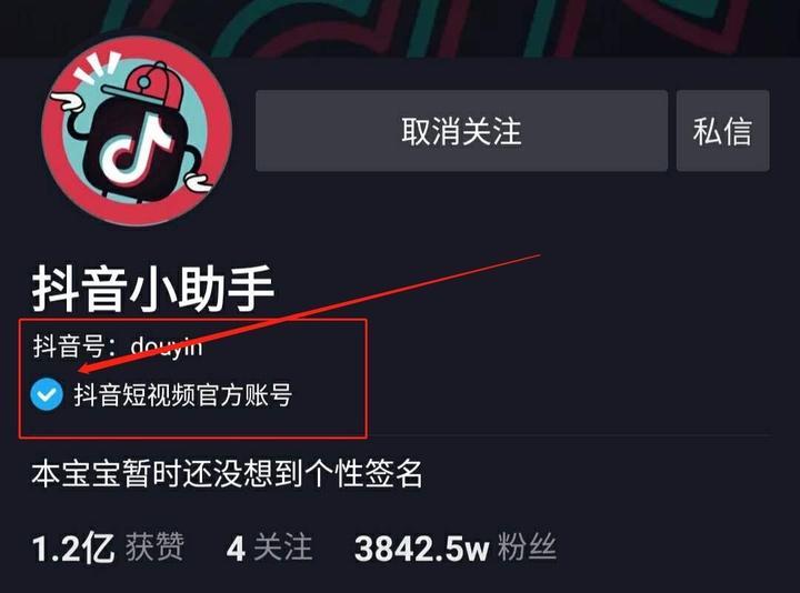 抖音蓝v免费与600元区别详解（免费获得蓝v认证的条件和限制，600元购买蓝v认证的优势与劣势）