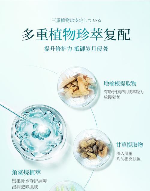 AI爱丝：人工智能的未来趋势与应用