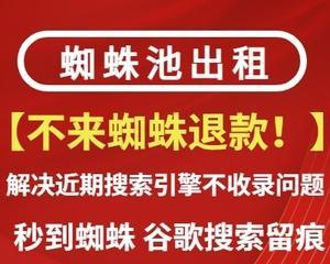 百度蜘蛛SEO排名优化的关键（提高网站排名的有效方法）