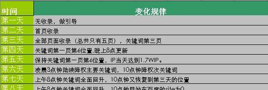 排名优化技巧全解析（掌握这些技巧）