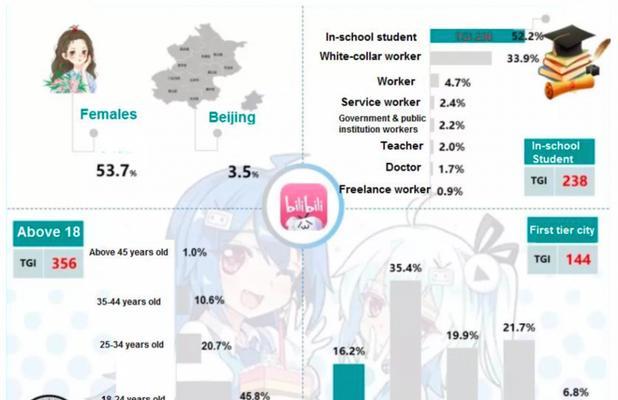 哔哩哔哩用户画像分析报告艾瑞网