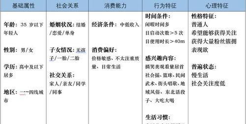 个人用户画像描述：深度解析与应用指南