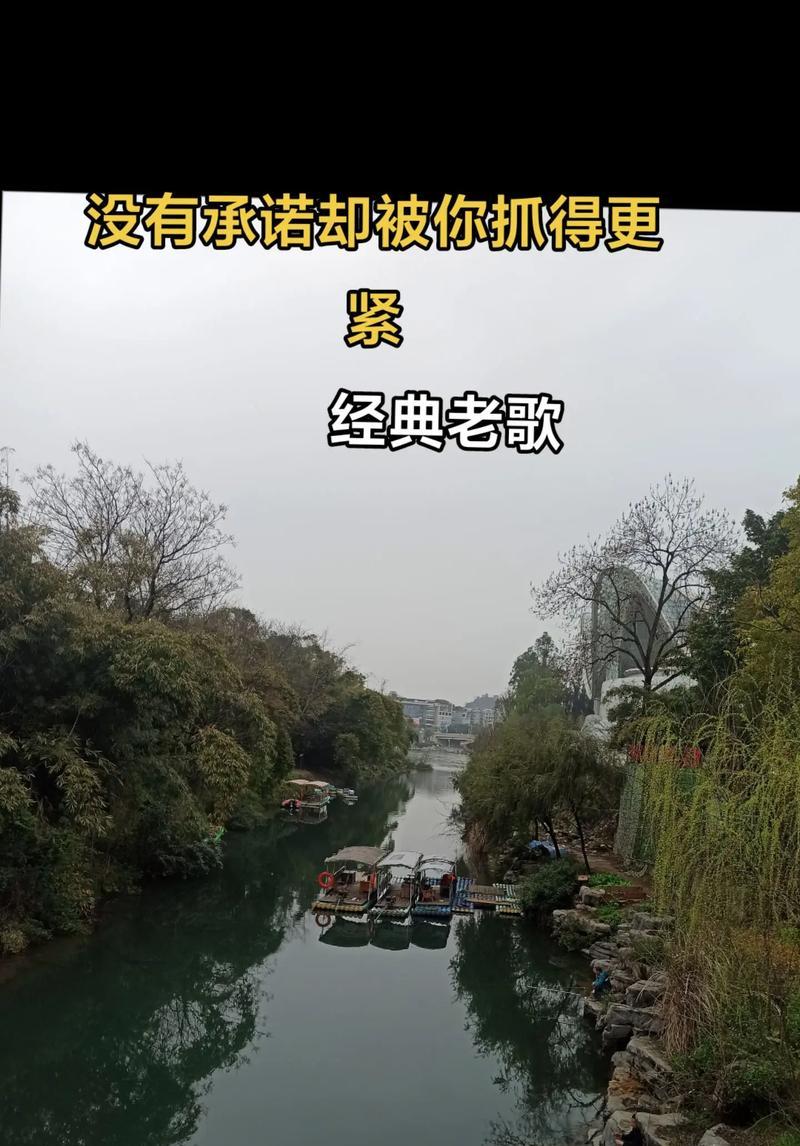 抖音老歌的流行魅力与背后故事