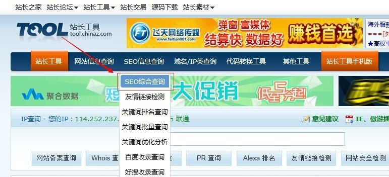 如何使用seo查询工具？seo查询结果的含义是什么？