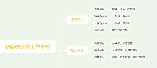 如何进行有效的SEO诊断？常见问题有哪些？