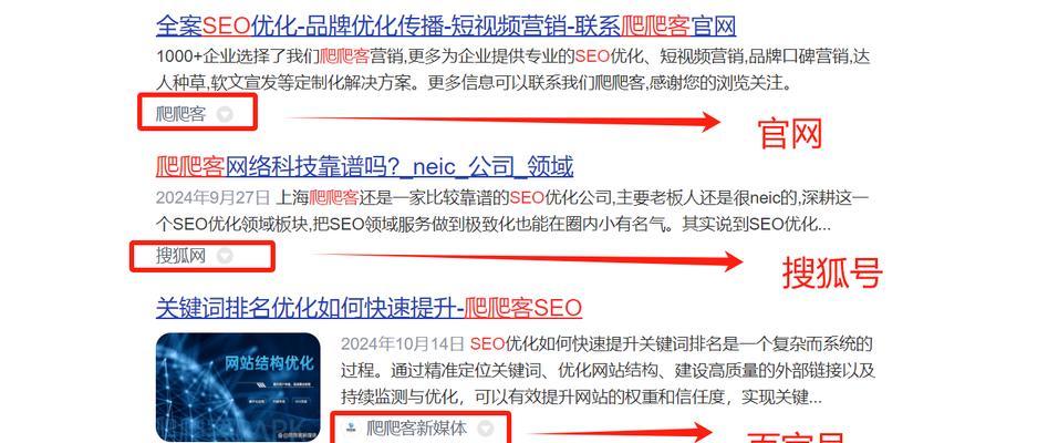 SEO网站优化软件如何选择？常见问题有哪些解决方案？